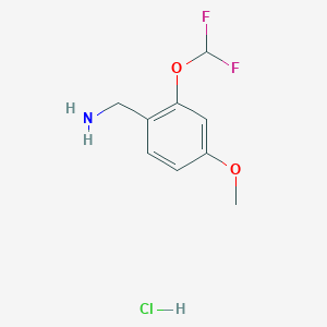 molecular formula C9H12ClF2NO2 B1423557 [2-(Difluoromethoxy)-4-methoxyphenyl]methanamine hydrochloride CAS No. 1354962-33-6