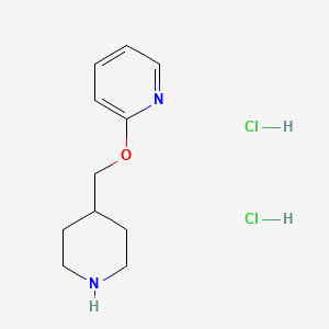 molecular formula C11H18Cl2N2O B1423560 2-[(Piperidin-4-yl)methoxy]pyridine dihydrochloride CAS No. 1354953-85-7