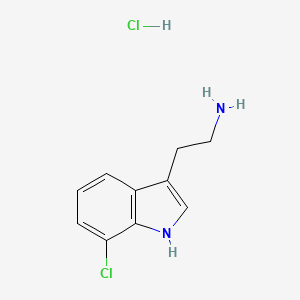 molecular formula C10H12Cl2N2 B1423584 2-(7-Chloro-1H-indol-3-yl)ethanamine hydrochloride CAS No. 81868-13-5