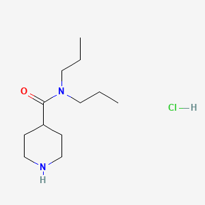 molecular formula C12H25ClN2O B1423615 N,N-Dipropyl-4-piperidinecarboxamide hydrochloride CAS No. 1220033-73-7