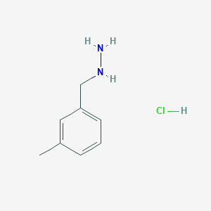 molecular formula C8H13ClN2 B1423668 (3-Methylbenzyl)hydrazine hydrochloride CAS No. 1255718-15-0