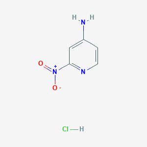 molecular formula C5H6ClN3O2 B1423813 2-Nitro-pyridin-4-ylamine hydrochloride CAS No. 1187929-34-5
