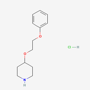 molecular formula C13H20ClNO2 B1423930 4-(2-Phenoxyethoxy)piperidine hydrochloride CAS No. 1219980-01-4