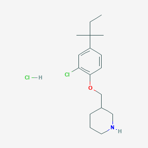 3-{[2-Chloro-4-(tert-pentyl)phenoxy]-methyl}piperidine hydrochloride