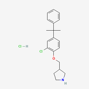 molecular formula C20H25Cl2NO B1423943 3-{[2-Chloro-4-(1-methyl-1-phenylethyl)phenoxy]-methyl}pyrrolidine hydrochloride CAS No. 1220029-66-2
