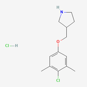 molecular formula C13H19Cl2NO B1423956 3-[(4-Chloro-3,5-dimethylphenoxy)methyl]-pyrrolidine hydrochloride CAS No. 1219971-86-4
