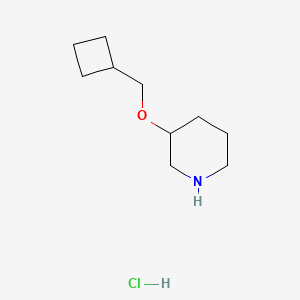 3-(Cyclobutylmethoxy)piperidine hydrochloride
