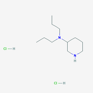 molecular formula C11H26Cl2N2 B1423985 N,N-Dipropyl-3-piperidinamine dihydrochloride CAS No. 1220017-53-7