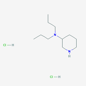 N,N-Dipropyl-3-piperidinamine dihydrochloride