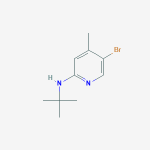 molecular formula C10H15BrN2 B1423986 N-(5-Bromo-4-methyl-2-pyridinyl)-N-(tert-butyl)amine CAS No. 1220018-75-6