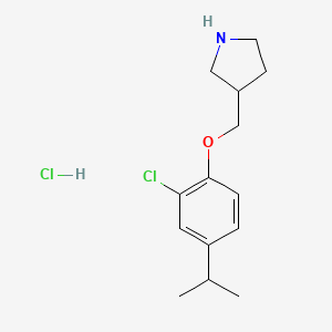 molecular formula C14H21Cl2NO B1423996 3-[(2-Chloro-4-isopropylphenoxy)methyl]-pyrrolidine hydrochloride CAS No. 1220039-12-2
