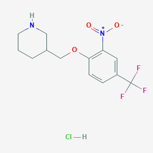 3-{[2-Nitro-4-(trifluoromethyl)phenoxy]-methyl}piperidine hydrochloride