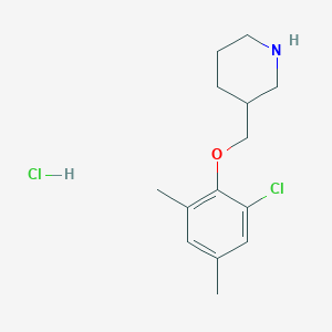 3-[(2-Chloro-4,6-dimethylphenoxy)methyl]-piperidine hydrochloride