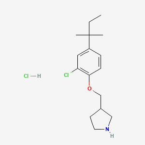 3-{[2-Chloro-4-(tert-pentyl)phenoxy]-methyl}pyrrolidine hydrochloride