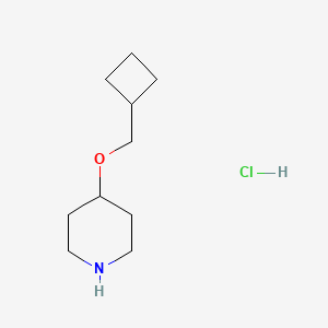 4-(Cyclobutylmethoxy)piperidine hydrochloride