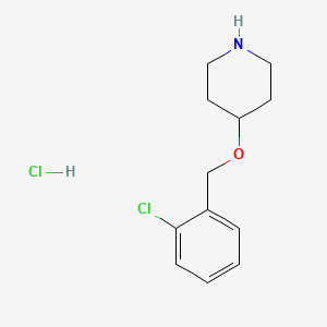 molecular formula C12H17Cl2NO B1424006 4-((2-Chlorobenzyl)oxy)piperidine hydrochloride CAS No. 1220033-09-9