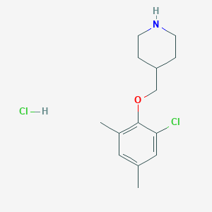 4-[(2-Chloro-4,6-dimethylphenoxy)methyl]-piperidine hydrochloride