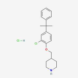 molecular formula C21H27Cl2NO B1424017 4-{[2-Chloro-4-(1-methyl-1-phenylethyl)phenoxy]-methyl}piperidine hydrochloride CAS No. 1219972-17-4