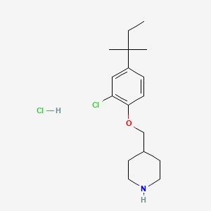 molecular formula C17H27Cl2NO B1424024 4-{[2-Chloro-4-(tert-pentyl)phenoxy]-methyl}piperidine hydrochloride CAS No. 1220035-90-4