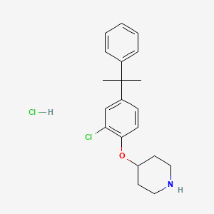 molecular formula C20H25Cl2NO B1424026 4-[2-Chloro-4-(1-methyl-1-phenylethyl)phenoxy]-piperidine hydrochloride CAS No. 1220036-02-1