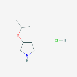 3-Isopropoxypyrrolidine hydrochloride
