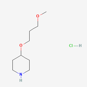4-(3-Methoxypropoxy)piperidine hydrochloride