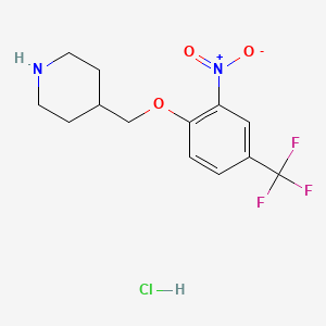 4-{[2-Nitro-4-(trifluoromethyl)phenoxy]-methyl}piperidine hydrochloride