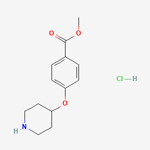 molecular formula C13H18ClNO3 B1424041 Methyl 4-(piperidin-4-yloxy)benzoate hydrochloride CAS No. 455323-66-7