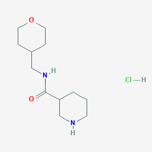 N-(Tetrahydro-2H-pyran-4-ylmethyl)-3-piperidinecarboxamide hydrochloride