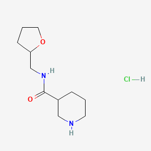 molecular formula C11H21ClN2O2 B1424067 N-((Tetrahydrofuran-2-yl)methyl)piperidine-3-carboxamide hydrochloride CAS No. 1220037-76-2