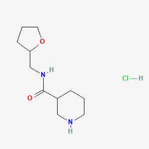 molecular formula C11H21ClN2O2 B1424067 N-(四氢-2-呋喃甲基)-3-哌啶甲酰胺盐酸盐 CAS No. 1220037-76-2
