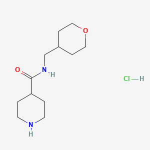molecular formula C12H23ClN2O2 B1424076 N-(Tetrahydro-2H-pyran-4-ylmethyl)-4-piperidinecarboxamide hydrochloride CAS No. 1220021-01-1