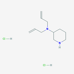 molecular formula C11H22Cl2N2 B1424083 N,N-Diallyl-3-piperidinamine dihydrochloride CAS No. 1220017-17-3