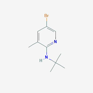 molecular formula C10H15BrN2 B1424106 N-(5-溴-3-甲基-2-吡啶基)-N-(叔丁基)胺 CAS No. 1220018-82-5