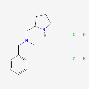 molecular formula C13H21ClN2 B1424109 N-Methyl(phenyl)-N-(2-pyrrolidinylmethyl)-methanamine dihydrochloride CAS No. 1220036-04-3