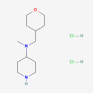 molecular formula C12H26Cl2N2O B1424163 N-甲基-N-(四氢-2H-吡喃-4-基甲基)-4-哌啶胺二盐酸盐 CAS No. 1220020-18-7