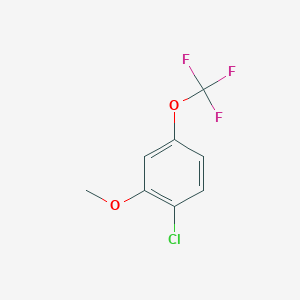 molecular formula C8H6ClF3O2 B1424234 2-Chloro-5-(trifluoromethoxy)anisole CAS No. 1260893-33-1