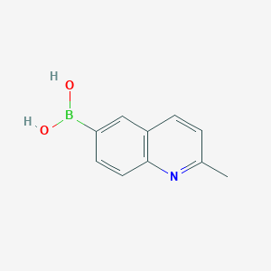 2-Methylquinoline-6-boronic acid