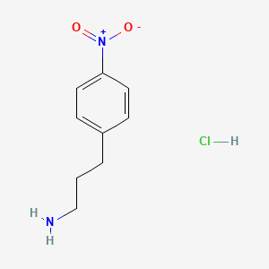 molecular formula C9H13ClN2O2 B1424329 3-(4-Nitrophenyl)propylamine hydrochloride CAS No. 56946-60-2