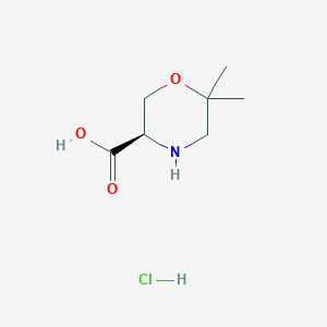 molecular formula C7H14ClNO3 B1424342 (R)-6,6-二甲基-吗啉-3-羧酸盐酸盐 CAS No. 1313277-22-3