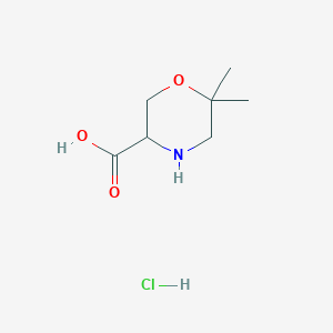 B1424420 6,6-Dimethyl-morpholine-3-carboxylic acid hydrochloride CAS No. 1255098-60-2