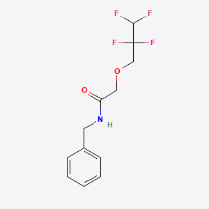 molecular formula C12H13F4NO2 B14244315 N-Benzyl-2-(2,2,3,3-tetrafluoropropoxy)acetamide CAS No. 402939-52-0