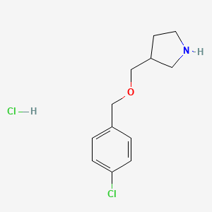 molecular formula C12H17Cl2NO B1424533 3-{[(4-Chlorobenzyl)oxy]methyl}pyrrolidine hydrochloride CAS No. 1219949-11-7