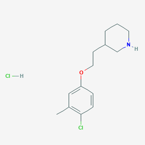 molecular formula C14H21Cl2NO B1424543 3-[2-(4-Chloro-3-methylphenoxy)ethyl]piperidine hydrochloride CAS No. 1219982-96-3