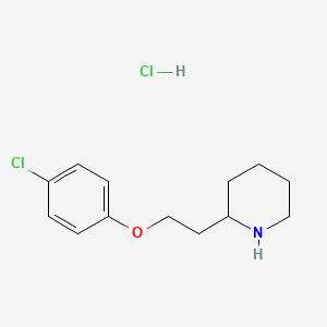 molecular formula C13H19Cl2NO B1424550 2-[2-(4-Chlorophenoxy)ethyl]piperidine hydrochloride CAS No. 72834-31-2