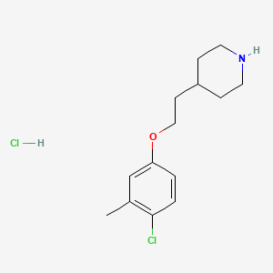 molecular formula C14H21Cl2NO B1424559 4-[2-(4-Chloro-3-methylphenoxy)ethyl]piperidine hydrochloride CAS No. 1219981-23-3