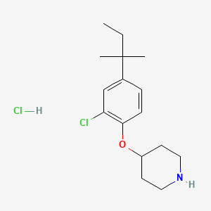 molecular formula C16H25Cl2NO B1424566 4-[2-Chloro-4-(tert-pentyl)phenoxy]piperidine hydrochloride CAS No. 1219972-07-2