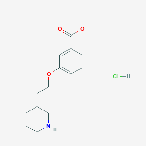 molecular formula C15H22ClNO3 B1424568 Methyl 3-[2-(3-piperidinyl)ethoxy]benzoate hydrochloride CAS No. 1219967-93-7
