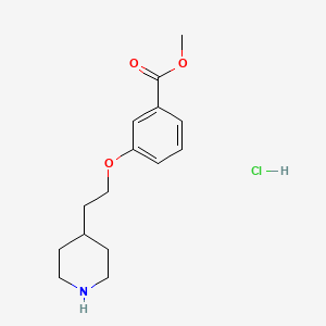 molecular formula C15H22ClNO3 B1424569 Methyl 3-[2-(4-piperidinyl)ethoxy]benzoate hydrochloride CAS No. 1220031-85-5