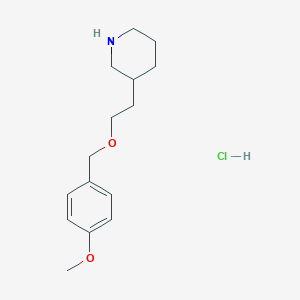 molecular formula C15H24ClNO2 B1424574 3-{2-[(4-Methoxybenzyl)oxy]ethyl}piperidine hydrochloride CAS No. 1219976-46-1
